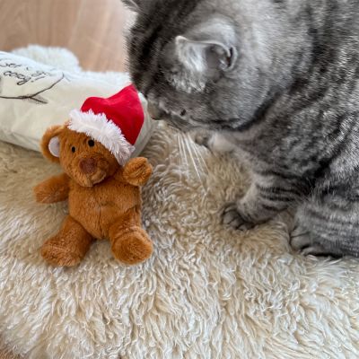 Aumüller karácsonyi maci mikulássapkával