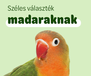 madár eledel és felszerelés