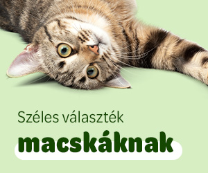 eledel és felszerelés macskáknak