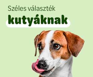 kutyaeledel és -felszerelések