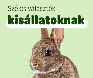 kisállat eledel és felszerelés